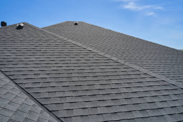 Best Roof Moss and Algae Removal  in Hatch, NM
