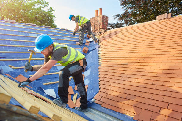 Best Roof Installation  in Hatch, NM